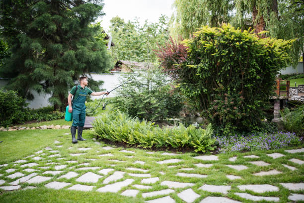 Best Affordable Pest Control Services  in Roaming Shores, OH