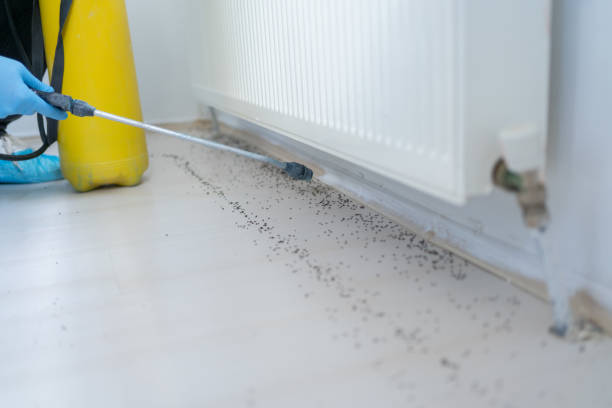 Trusted Roaming Shores, OH Pest Control Experts