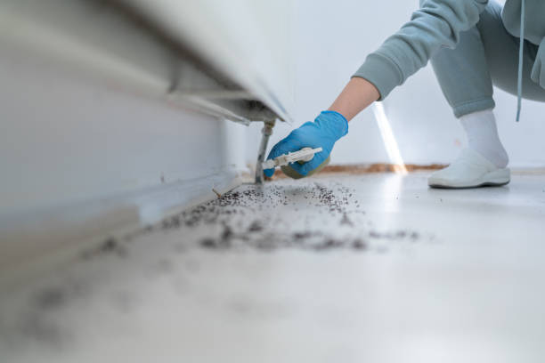 Best Bed Bug Extermination  in Roaming Shores, OH
